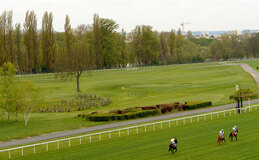 Green fees - Golf de Maisons Laffitte