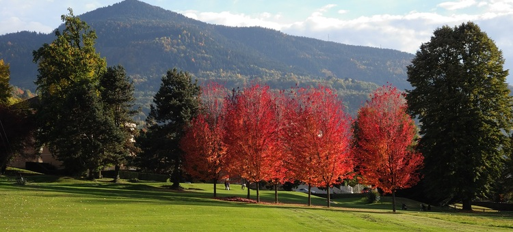 Green fees - Golf Club d'Uriage